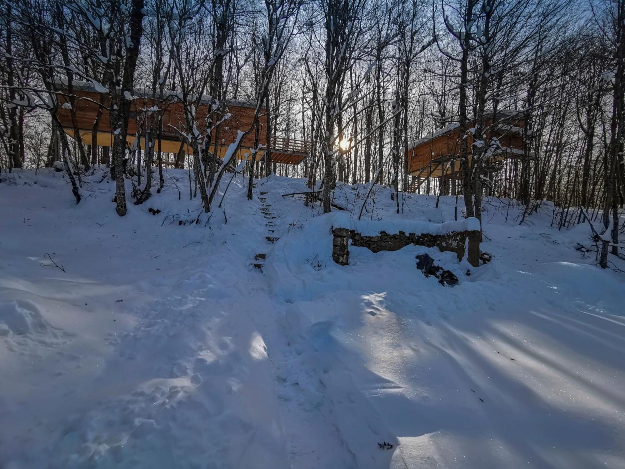 Treehouse Lika 2 Villa Medak Екстериор снимка